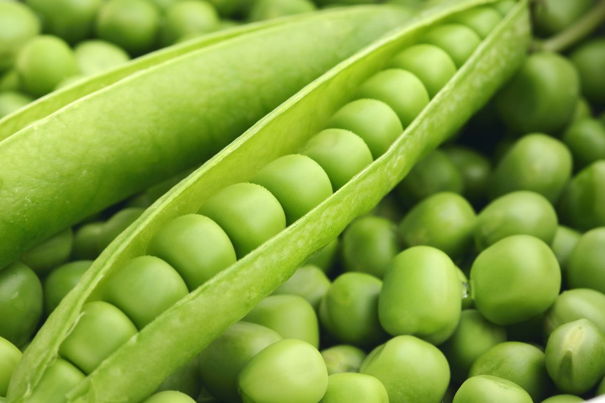 veg
